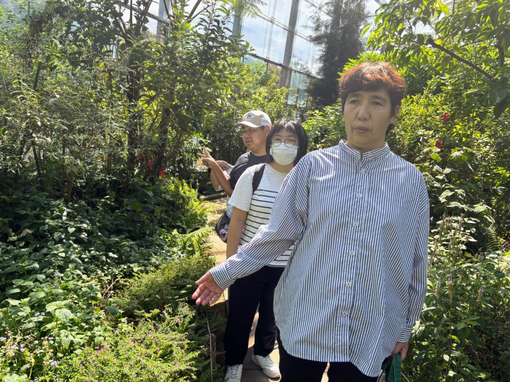 温室の中の写真です。